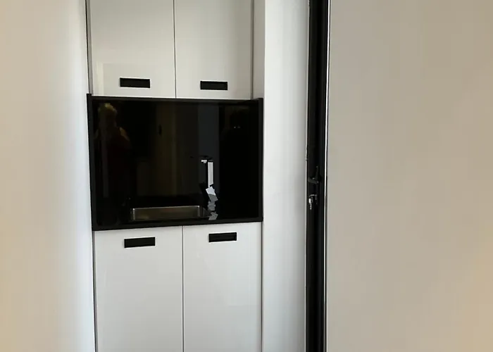 Apartament Veseli Luxury