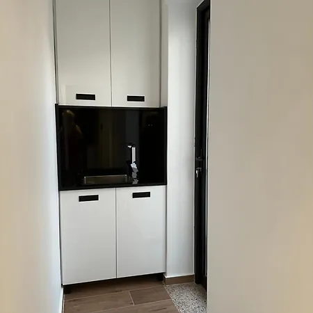 Apartment Veseli Luxury
